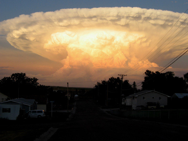 mushroom-rare-cloud