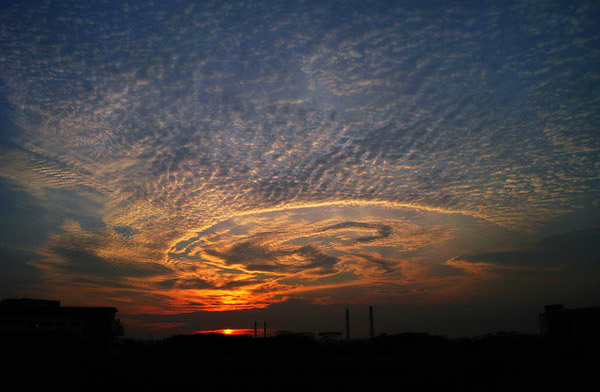 Nature's-Art-rare-cloud