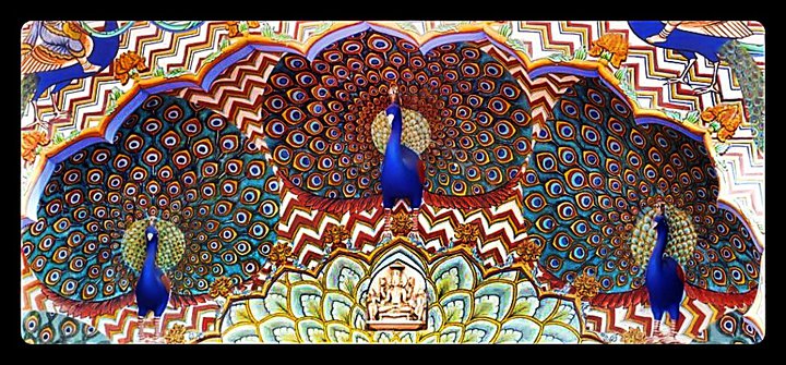 architect-peacock-in-a-palace