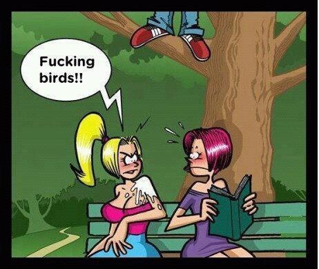 bad-birds-girls-under-tree-funny-photos