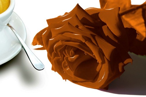 chocolate-rose