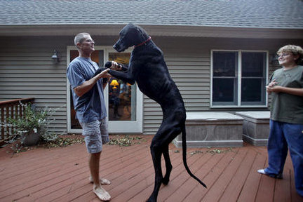 zeus-playing-with-his-owner