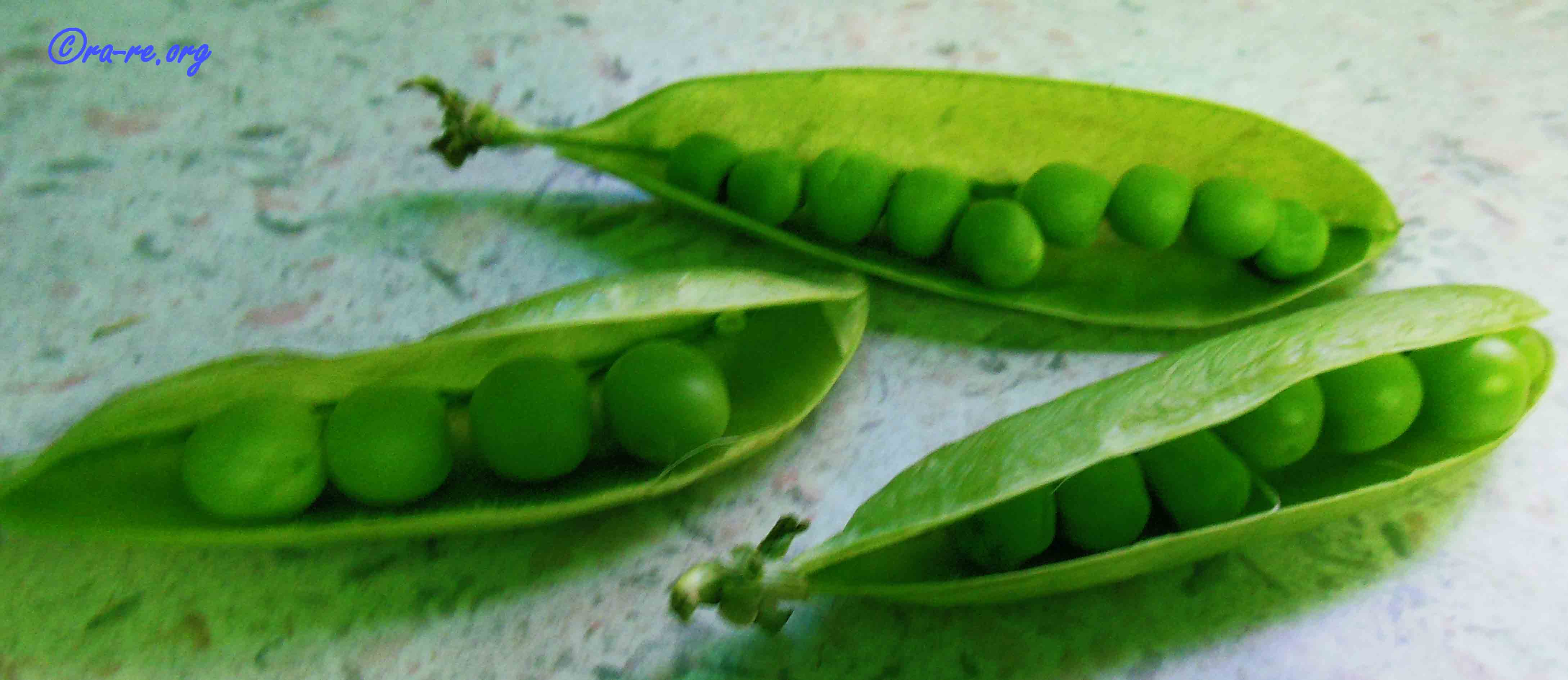 peas-beans-extremely-good-for-health