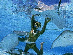 under-water-diving-with-sting-ray