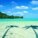 shadow-of-palm-tress-over-beach-of-Turquoise Sea