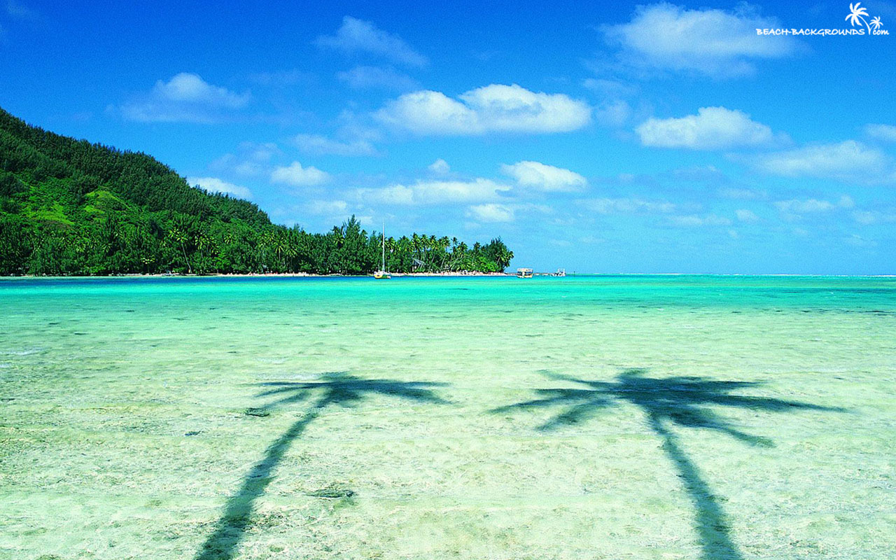 shadow-of-palm-tress-over-beach-of-Turquoise Sea