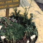 Smallest-Park-In-The-World-Mill-Ends-Park