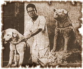 Hachiko-with-his-statue