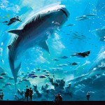 Georgia-Aquarium-atlanta-usa