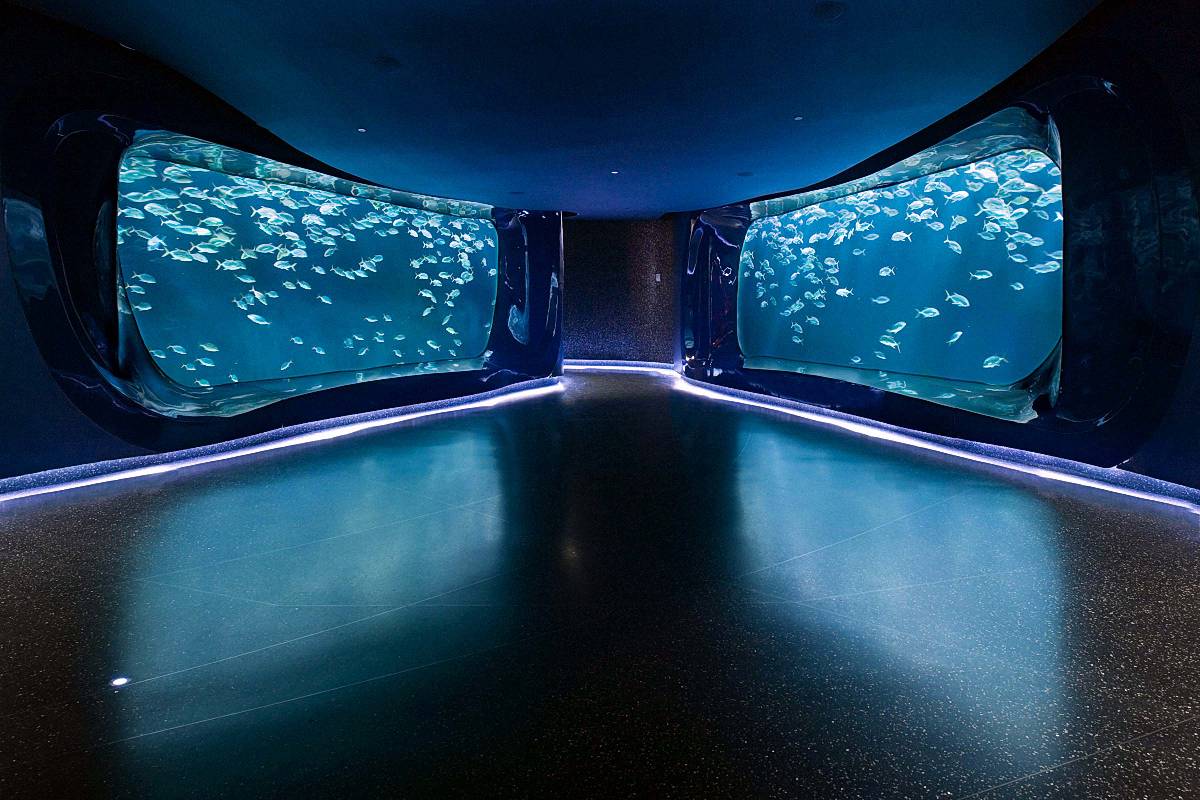 Georgia-Aquarium-awesome-view