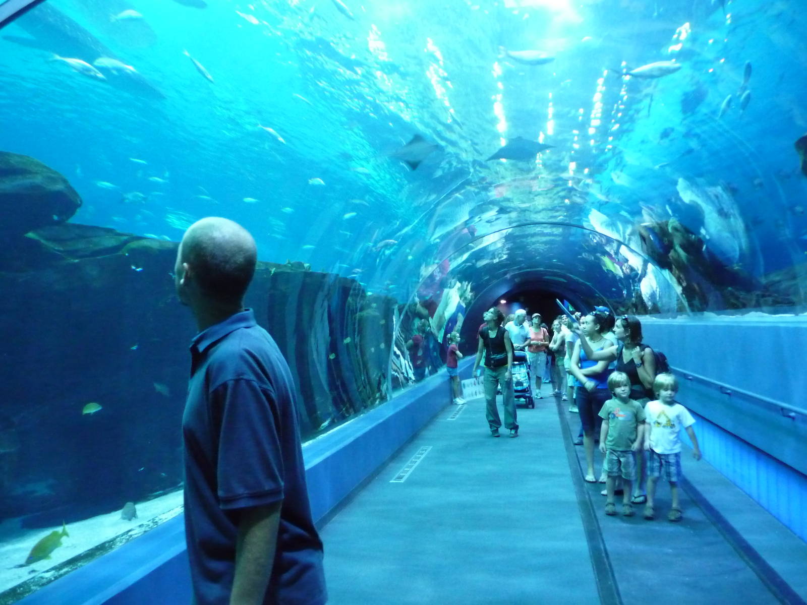 Georgia-Aquarium-build-on-land-donated-by-coca-cola