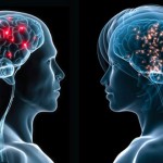male-vs-female-brain