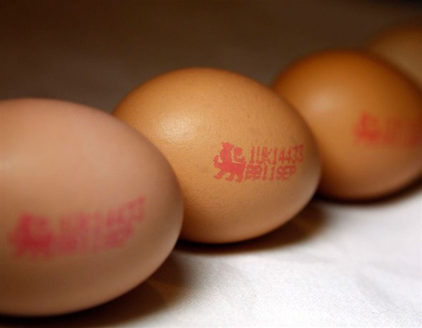 UK-eggs-also-banned-in-USA