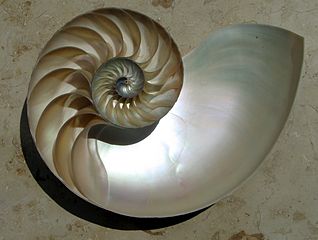 fibonacci-2