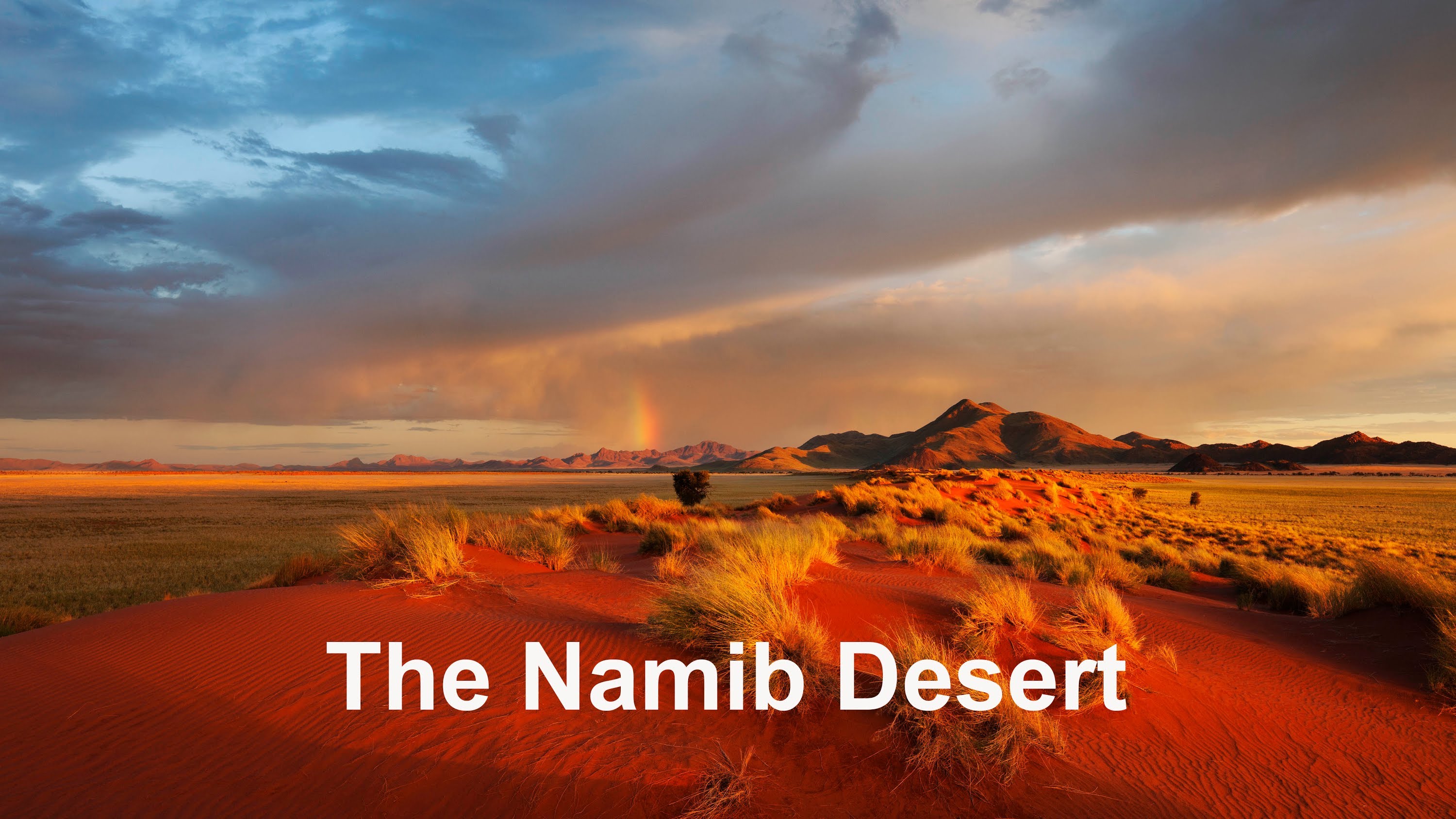 namib-desert-4