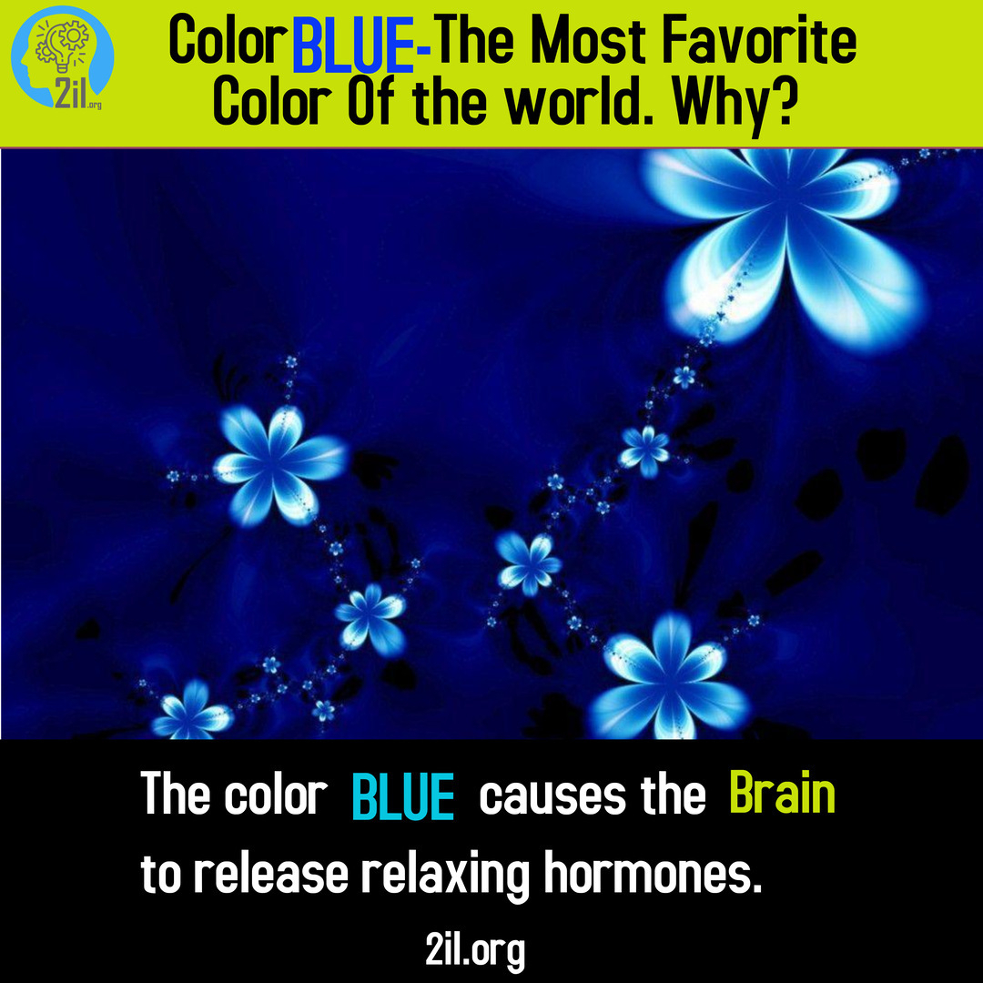 Colou-blue-most-favourite-colour-relaxing-hormone